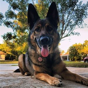 Hey! I’m Néna, come ✔️out my humans closet please! 💕